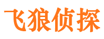 辰溪市侦探公司